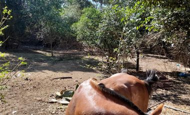 Casa en venta - 1 Dormitorio 1 Baño - 3.700Mts2 - General Rodríguez