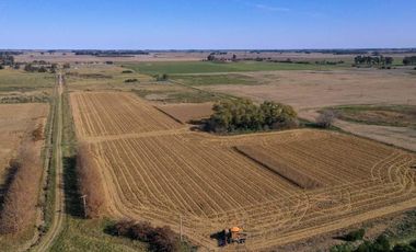 4 chacras de 5 Hectáreas cada una  | LOBOS