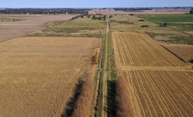4 chacras de 5 Hectáreas cada una  | LOBOS