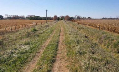 4 chacras de 5 Hectáreas cada una  | LOBOS