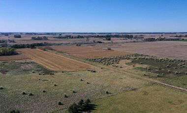 4 chacras de 5 Hectáreas cada una  | LOBOS