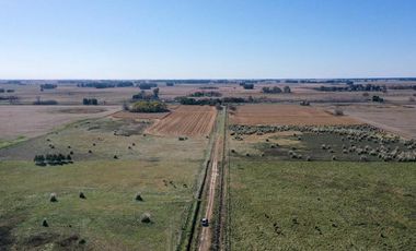 4 chacras de 5 Hectáreas cada una  | LOBOS