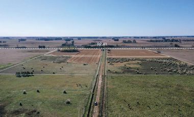 4 chacras de 5 Hectáreas cada una  | LOBOS