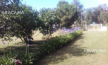 Chalet en calles 54 y 41 - Miramar