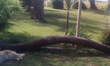 Chalet en calles 54 y 41 - Miramar