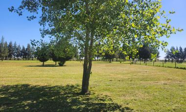 Terreno en venta - 1800Mts2 - Fincas de San Vicente