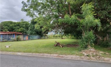 CHAME / NUEVA GORGONA / TERRENO / 1007M  / PLANO / CERCA DE PLAYA