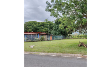 CHAME / NUEVA GORGONA / TERRENO / 1007M  / PLANO / CERCA DE PLAYA