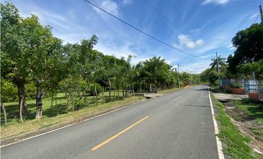 CHAME / NUEVA GORGONA / TERRENO / 1007M  / PLANO / CERCA DE PLAYA