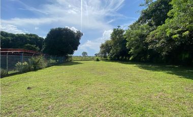 CHAME / NUEVA GORGONA / TERRENO / 1007M  / PLANO / CERCA DE PLAYA