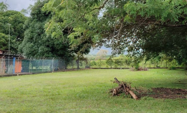 CHAME / NUEVA GORGONA / TERRENO / 1007M  / PLANO / CERCA DE PLAYA