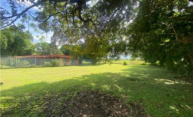 CHAME / NUEVA GORGONA / TERRENO / 1007M  / PLANO / CERCA DE PLAYA