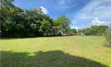 CHAME / NUEVA GORGONA / TERRENO / 1007M  / PLANO / CERCA DE PLAYA