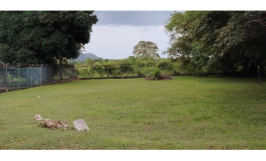 CHAME / NUEVA GORGONA / TERRENO / 1007M  / PLANO / CERCA DE PLAYA