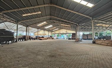 Jarang ada Gudang rapi di mangga ubi luas 5000an