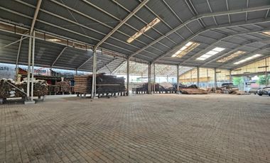 Jarang ada Gudang rapi di mangga ubi luas 5000an