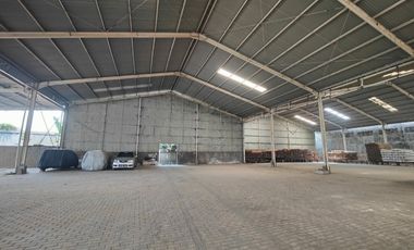 Jarang ada Gudang rapi di mangga ubi luas 5000an