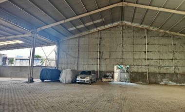 Jarang ada Gudang rapi di mangga ubi luas 5000an