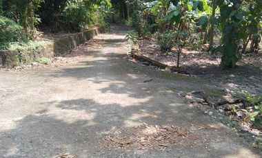 JUAL TANAH DI SRIKAYANGAN SENTOLO KULONPROGO