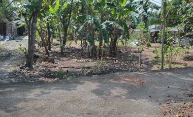 JUAL TANAH DI SRIKAYANGAN SENTOLO KULONPROGO