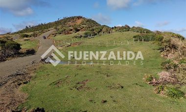 Sitio en Venta en Fundo Esperanza, Llico Bajo