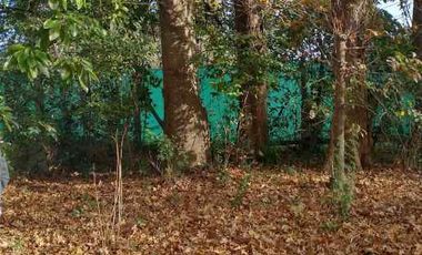 Chalet en venta en Villa Udaondo