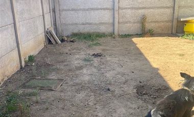 Casa en Venta en PJE 31 MED OTE 3430 16 H BICENTENARI VI