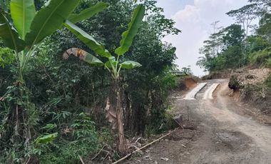 DI JUAL LAHAN PINGGIR JL PROVINSI DI LEBAK, BANTEN