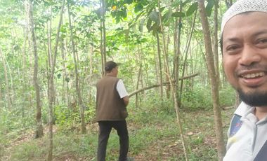 DI JUAL LAHAN PINGGIR JL PROVINSI DI LEBAK, BANTEN