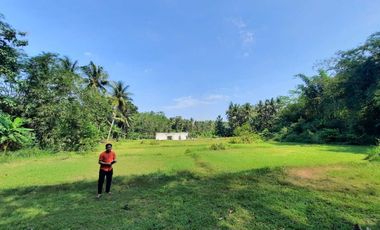 UNDER 1 Juta, Murah Tanah Nanggulan Jogja, SHMP AMAN