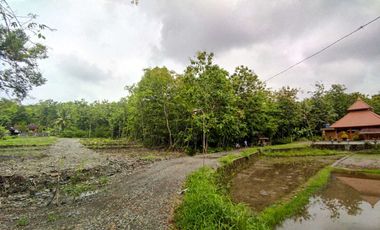 JUAL MURAH, Tanah di Bawah Harga Pasaran Jogja