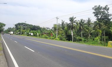 dijual tanah murah,lokasi pinggir jalan jogja-wates.