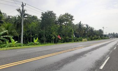 dijual tanah murah,lokasi pinggir jalan jogja-wates.