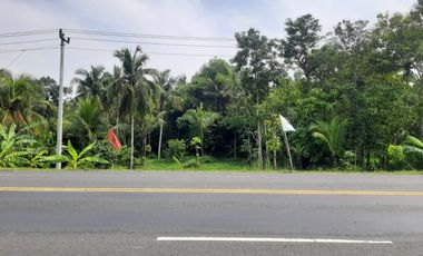 dijual tanah murah,lokasi pinggir jalan jogja-wates.