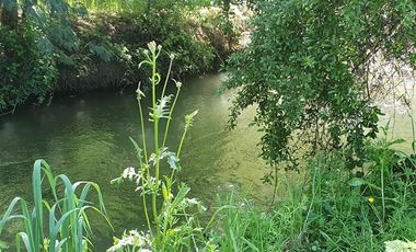 Parcela en Venta en Camino a Sta. Bárbara, sector El Álamo