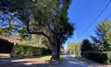 Venta - Casa 5 amb. Pileta, Jardín y Quincho - 2 Lotes / Los Ñanduces