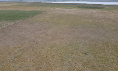 Campo en venta mixto de 72 has en Saladillo. A 3000 mts de Ruta