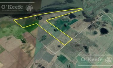 Campo en venta mixto de 72 has en Saladillo. A 3000 mts de Ruta