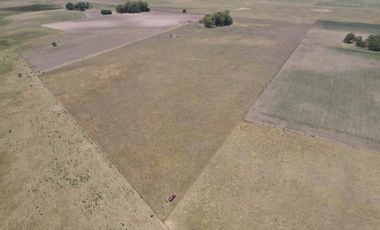 Campo en venta mixto de 72 has en Saladillo. A 3000 mts de Ruta