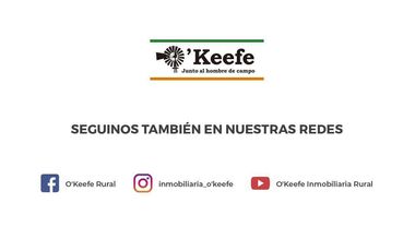 Campo en venta mixto de 72 has en Saladillo. A 3000 mts de Ruta