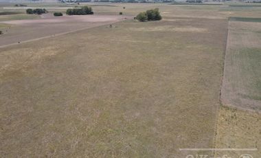 Campo en venta mixto de 72 has en Saladillo. A 3000 mts de Ruta