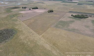 Campo en venta mixto de 72 has en Saladillo. A 3000 mts de Ruta