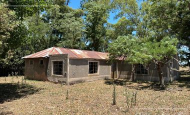 Campo en venta mixto de 72 has en Saladillo. A 3000 mts de Ruta