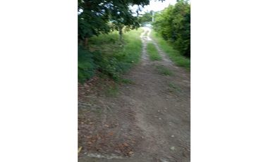 VENDO LOTES EN EL HIGO DE SAN CARLOS