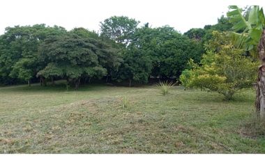 VENDO LOTES EN EL HIGO DE SAN CARLOS