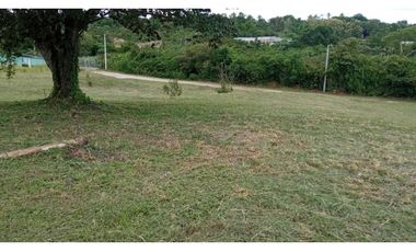 VENDO LOTES EN EL HIGO DE SAN CARLOS