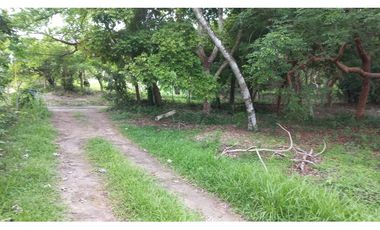 VENDO LOTES EN EL HIGO DE SAN CARLOS