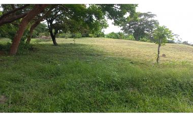 VENDO LOTES EN EL HIGO DE SAN CARLOS