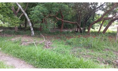 VENDO LOTES EN EL HIGO DE SAN CARLOS