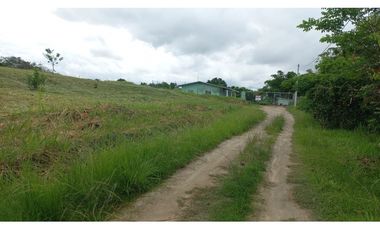 VENDO LOTES EN EL HIGO DE SAN CARLOS
